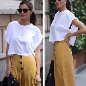 💫SALE! NWT Zara pleaded pants with buttons.